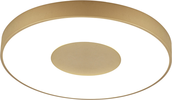 Потолочный светильник Coin 8036