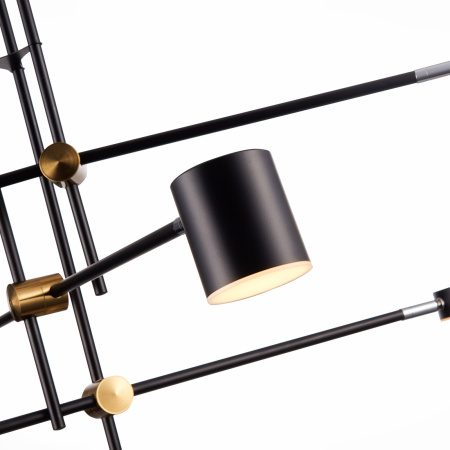 картинка Потолочная люстра светодиодная Rodrigo SL1604.432.06 от магазина BTSvet