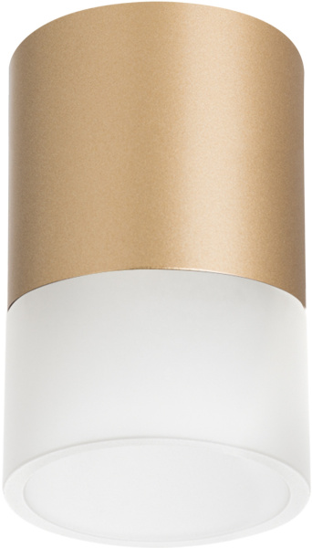 Светильник точечный накладной Lightstar Rullo R349081