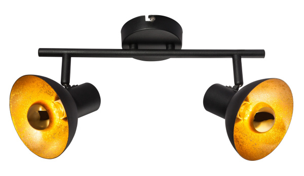 картинка Спот Lotte 54001-2 от магазина BTSvet