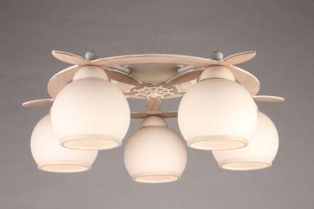 картинка Потолочная люстра OML-50517-05 от магазина BTSvet