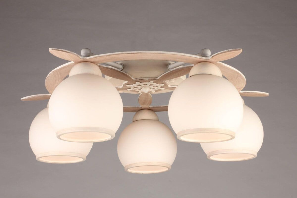 картинка Потолочная люстра OML-50517-05 от магазина BTSvet