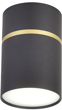 Накладной светильник Dunia 3068-1C