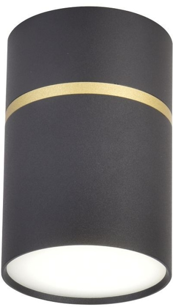 Накладной светильник Dunia 3068-1C