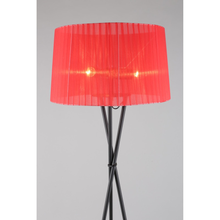 картинка Торшер oml-62905-03 от магазина BTSvet