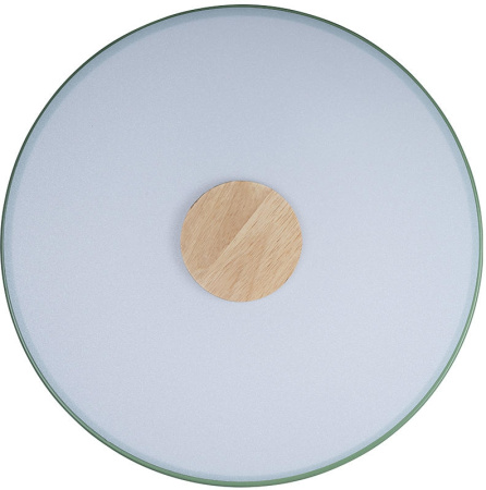 картинка Потолочный светильник светодиодный Axel 10003/24 Green от магазина BTSvet