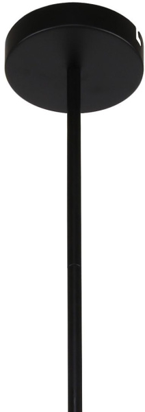 картинка Потолочная люстра на штанге Ducan 3094-6P от магазина BTSvet