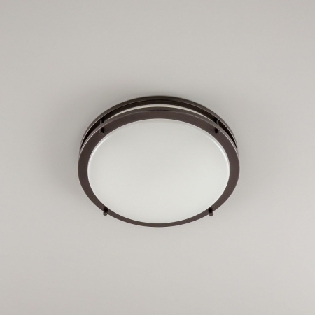 картинка Настенно-потолочный светильник светодиодный с диммером Бостон CL709325N IP44 от магазина BTSvet