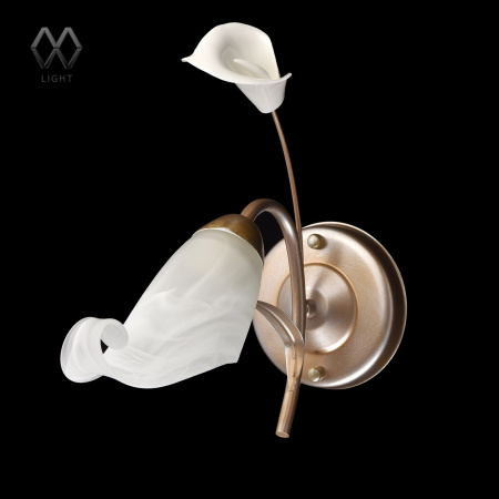 картинка Бра Vostorg 242026601 от магазина BTSvet