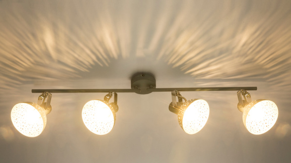 картинка Спот Fabian 54653-4 от магазина BTSvet