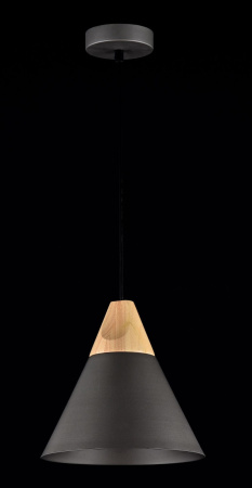 картинка Подвесной светильник Bicones P359-PL-220-C от магазина BTSvet