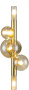 картинка Бра настенное Canto V000249 (11026/5W Gold ) от магазина BTSvet