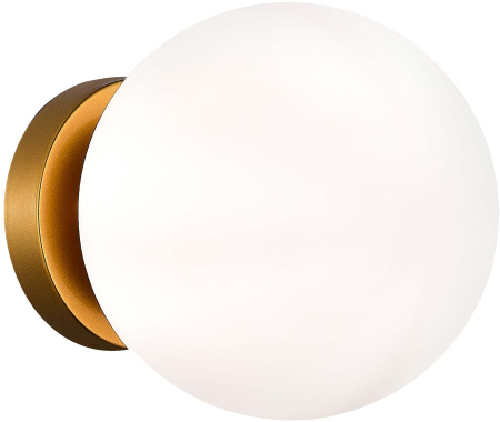 Настенно-потолочный светильник Acini SL717.201.01