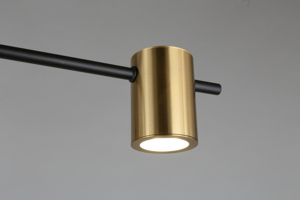 картинка Потолочная люстра на штанге Elwisia APL.633.07.08 от магазина BTSvet