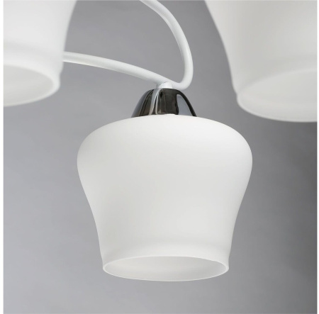 картинка Потолочная люстра Альфа 324017606 от магазина BTSvet