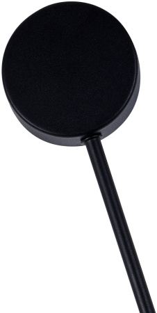 картинка Настенный светильник Фирс 2208-2,19 от магазина BTSvet