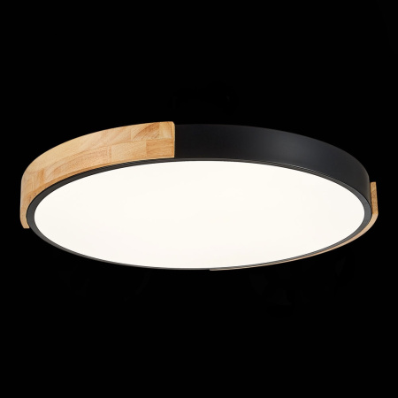 картинка Потолочный светильник светодиодный с регулировкой цветовой температуры Delia SLE201342-01 от магазина BTSvet