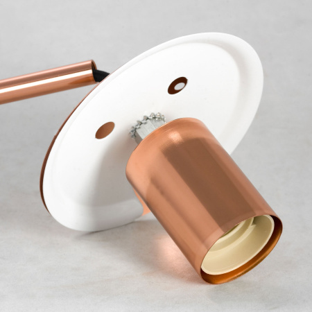 картинка Подвесной светильник Strawberry LSP-8212 от магазина BTSvet