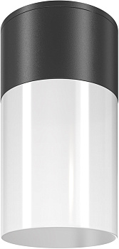 Потолочный светильник уличный Willis O418CL-01B