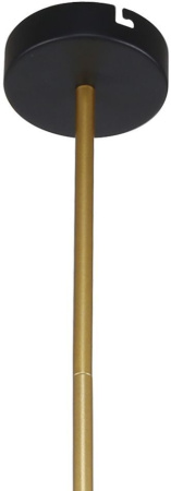 картинка Потолочная люстра на штанге Trikoniya 3089-8P от магазина BTSvet