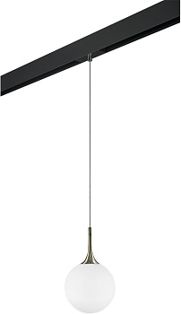 Трековый светильник однофазный 220V Lightstar Globo PRO813021