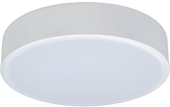 Потолочный светильник светодиодный Axel 10002/12 White
