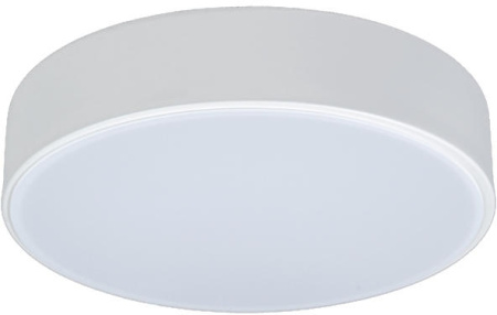 Потолочный светильник светодиодный Axel 10002/12 White