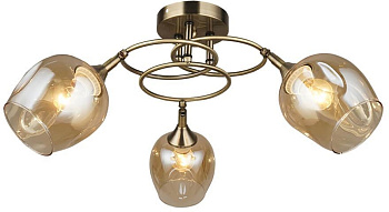 Потолочная люстра Krodo 66665.01.05.03