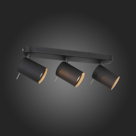 картинка Спот Fanale SL597.401.03 от магазина BTSvet