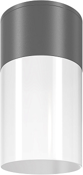 Потолочный светильник уличный Willis O418CL-01GR