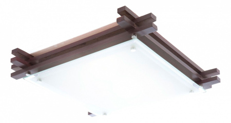 картинка Настенно-потолочный светильник Edison 48324 от магазина BTSvet