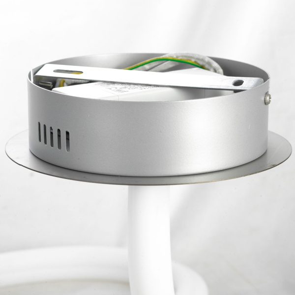 картинка Потолочная люстра светодиодная Ingersoll LSP-8344 от магазина BTSvet