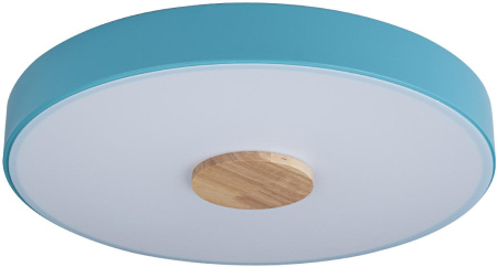 картинка Потолочный светильник светодиодный Axel 10003/24 Blue от магазина BTSvet