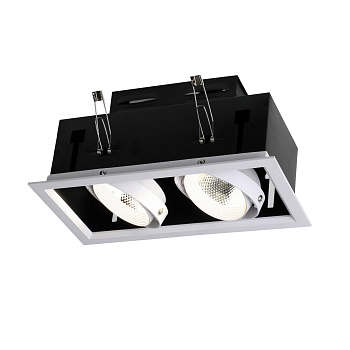 Встраиваемый светодиодный поворотный светильник Flashled 1985-2C