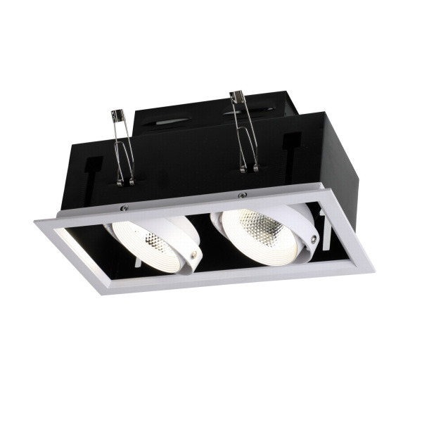 Встраиваемый светодиодный поворотный светильник Flashled 1985-2C