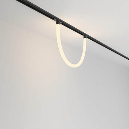 картинка Трековый подвесной светильник 48V Tau TR101-2-20W3K-B от магазина BTSvet