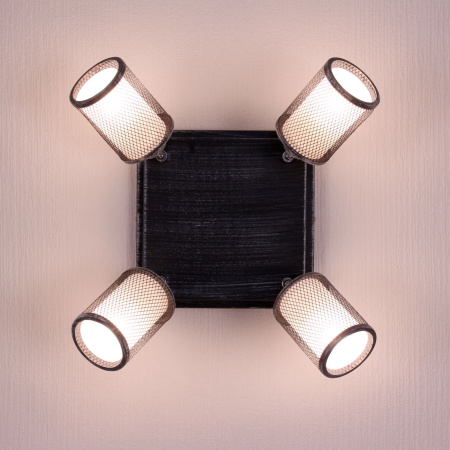 картинка Настенно-потолочный светильник Robin CL535541 от магазина BTSvet