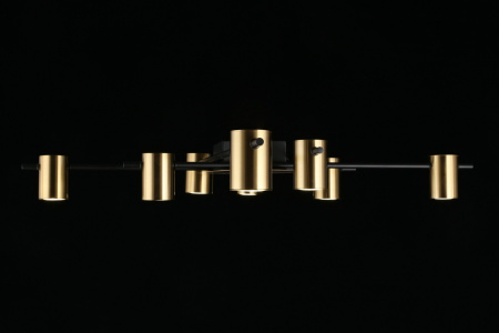 картинка Потолочная люстра на штанге Elwisia APL.633.07.08 от магазина BTSvet