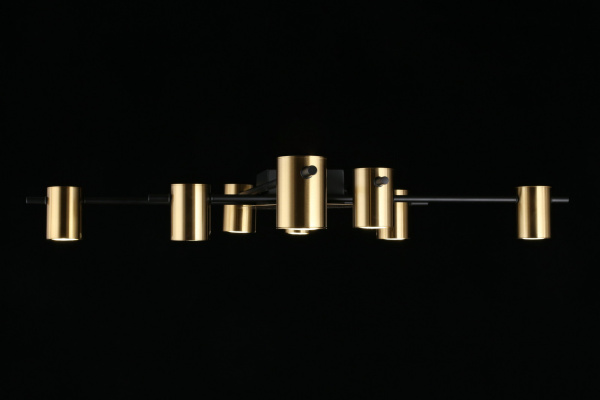 картинка Потолочная люстра на штанге Elwisia APL.633.07.08 от магазина BTSvet