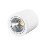 картинка Накладной светильник LED SP-FOCUS-R140-30W Warm White (Arlight, IP20 Металл, 3 года) 021066 от магазина BTSvet