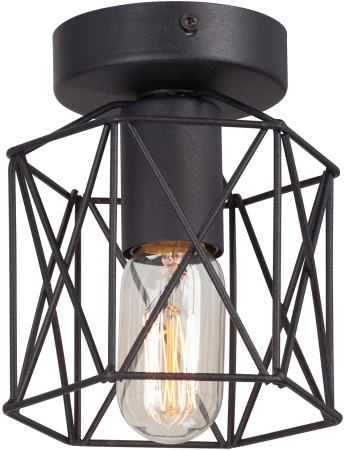 Потолочный светильник V4382-1/1PL