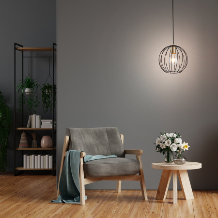 картинка Подвесной светильник Quebec 10176/1S E27*60W Black/Brass от магазина BTSvet