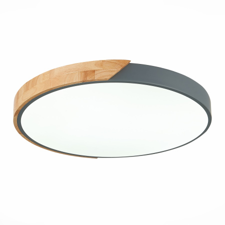 картинка Потолочный светильник светодиодный Festa SLE200972-01 от магазина BTSvet