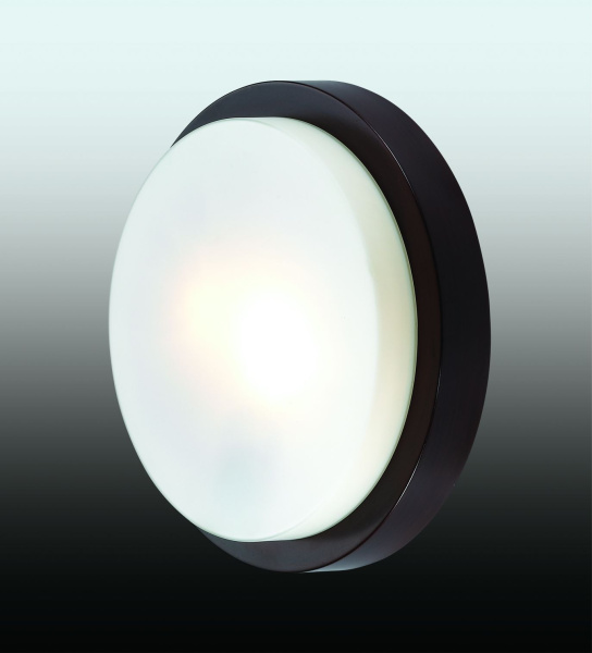 картинка Настенно-потолочный светильник влагозащищенный Holger 2744/2C от магазина BTSvet