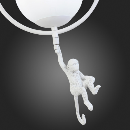 картинка Подвесной светильник Tenato SLE115113-01 от магазина BTSvet