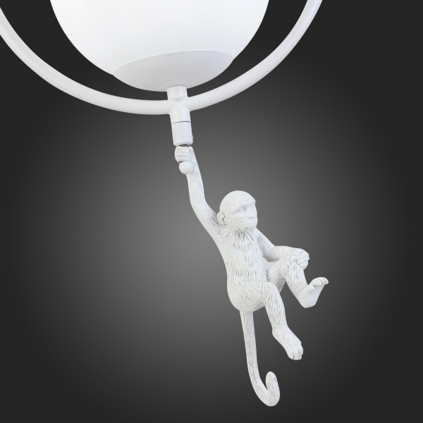 картинка Подвесной светильник Tenato SLE115113-01 от магазина BTSvet