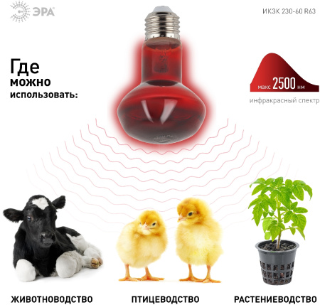 картинка Инфракрасная лампа ЗРА ИКЗК 230-60 R63 Е27 для обогрева животных 60 Вт от магазина BTSvet