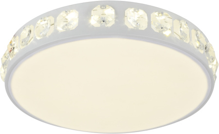 Настенно-потолочный светильник Akacia H843-0