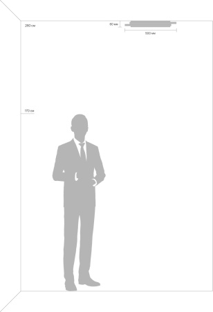 картинка Потолочный светильник светодиодный с пультом Lisoa FR10031CL-L98B от магазина BTSvet