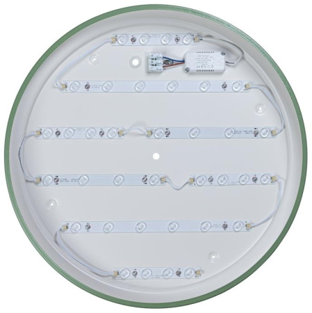 картинка Потолочный светильник светодиодный Axel 10001/36 Green от магазина BTSvet